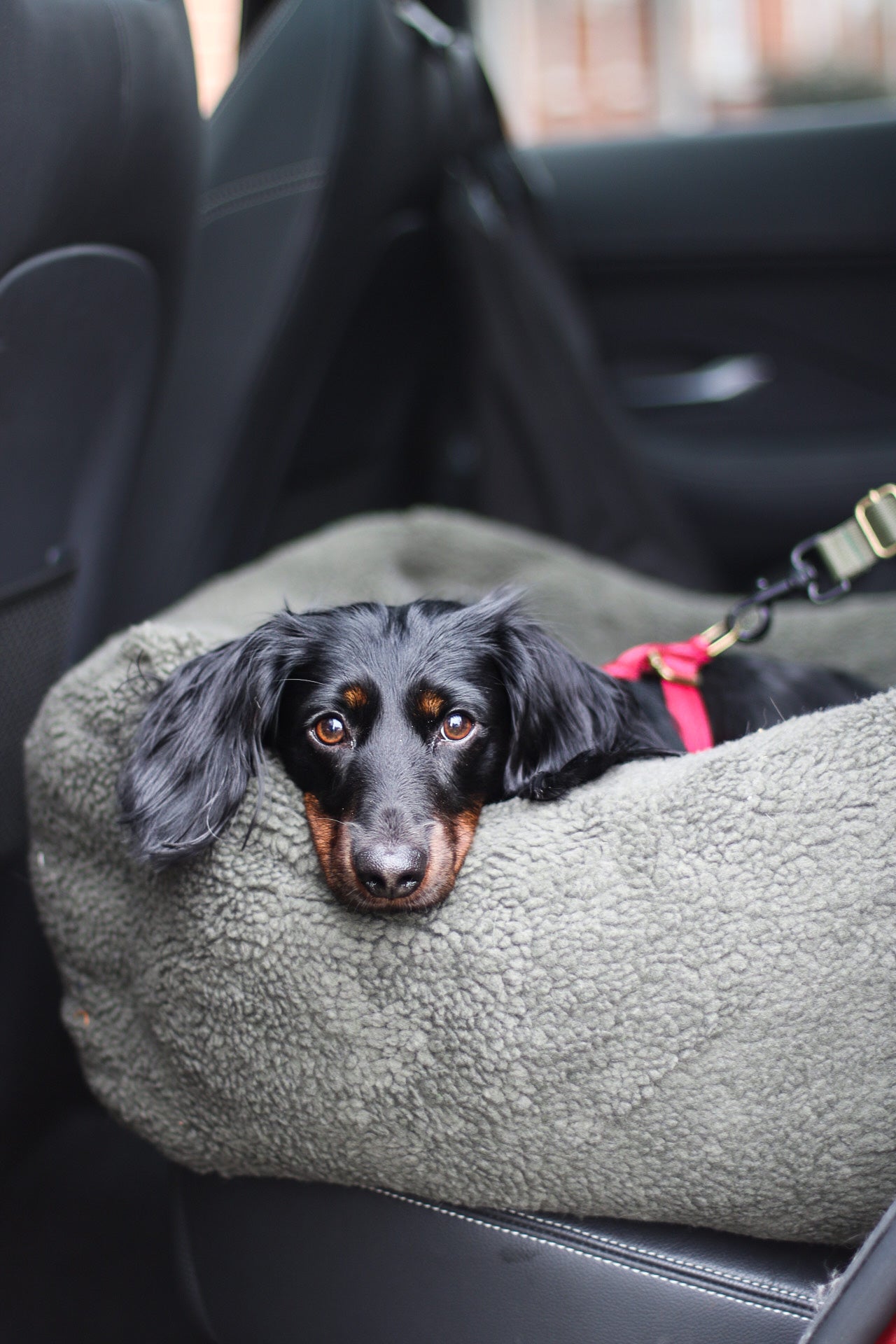 CAR BEDS AND TRAVEL ESSENTIALS