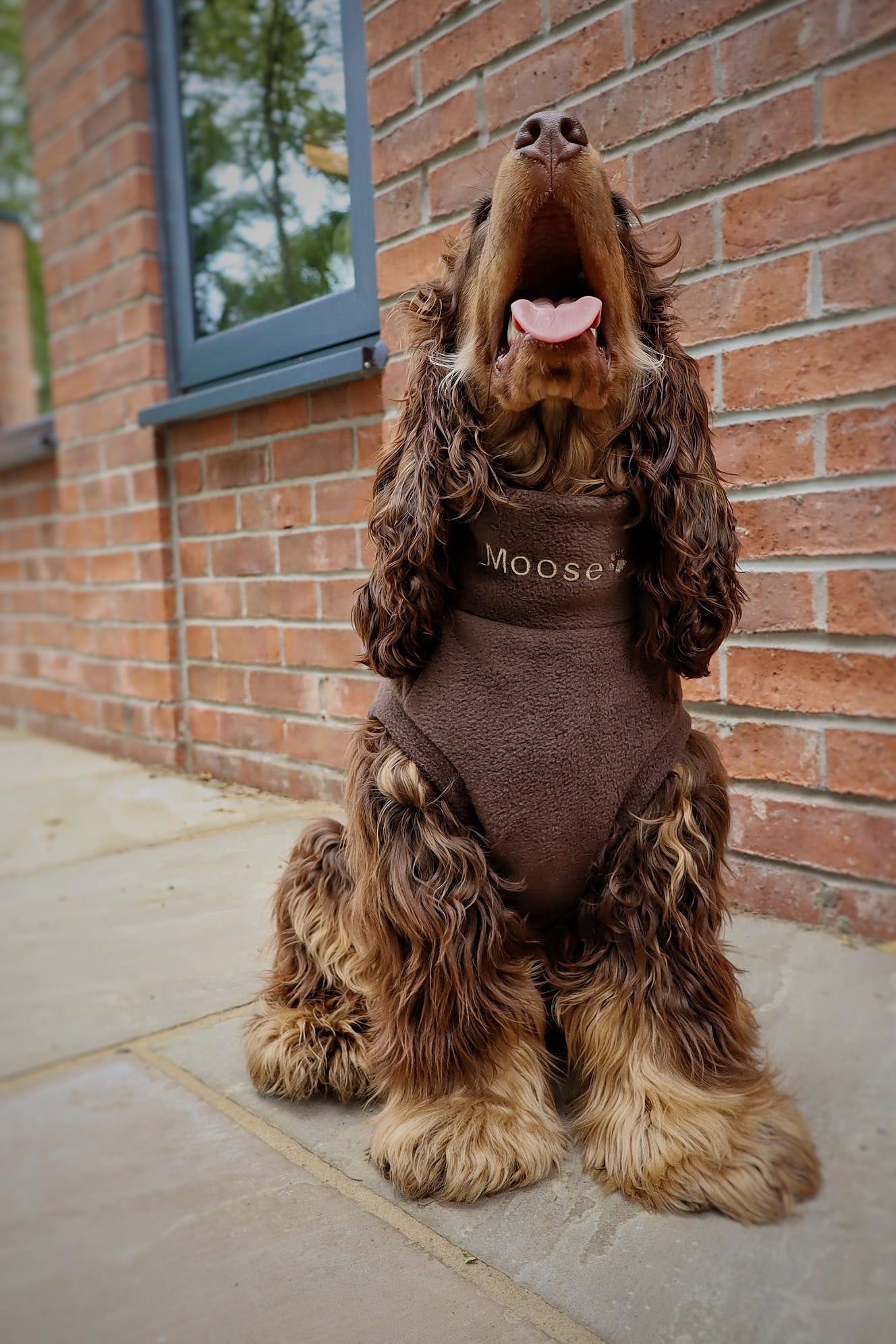 Personalised Made-to-Measure Fleece Dog Jumper – Custom Fit & Embroidery