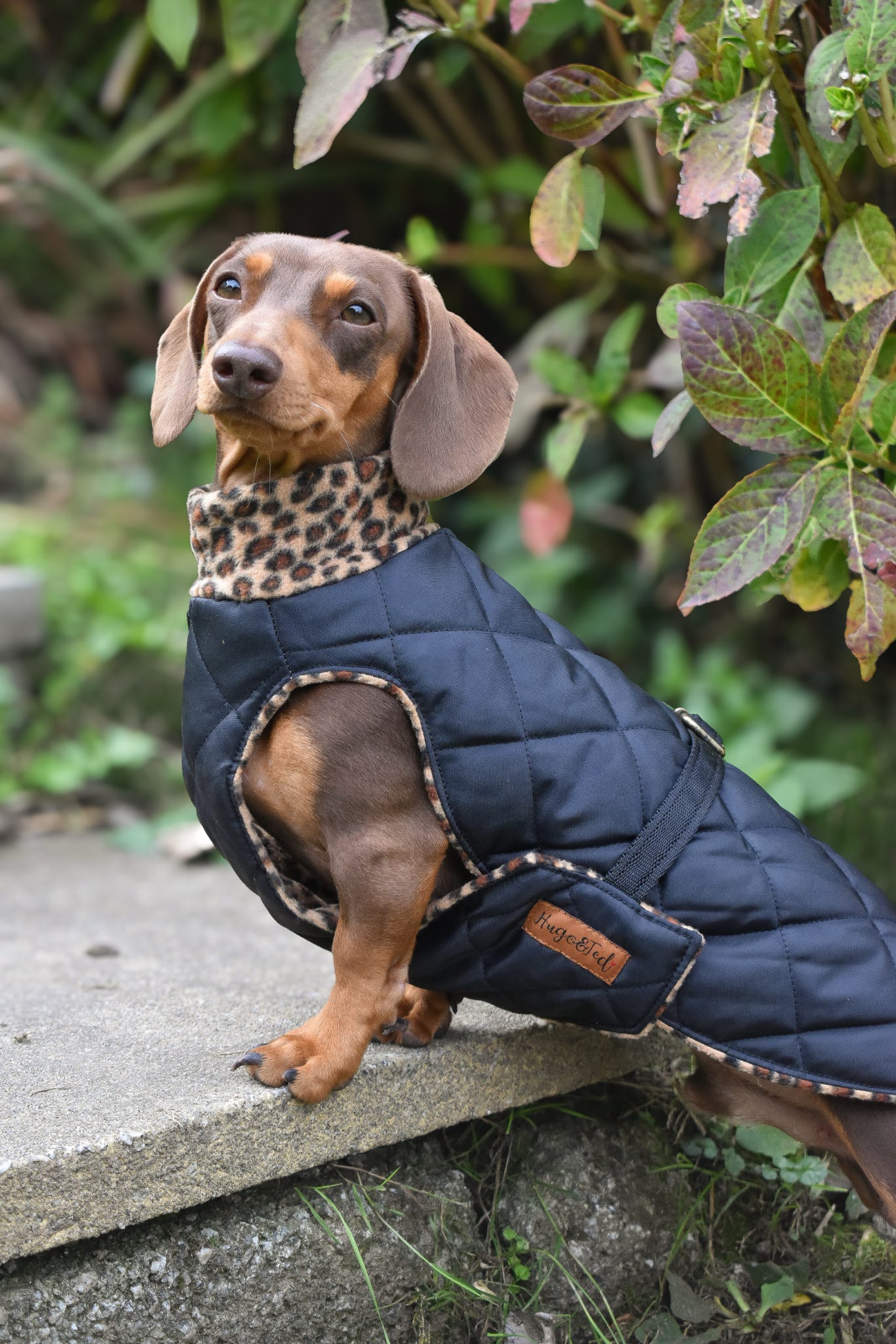 Manteau imperméable matelassé Ultimate Walkies
