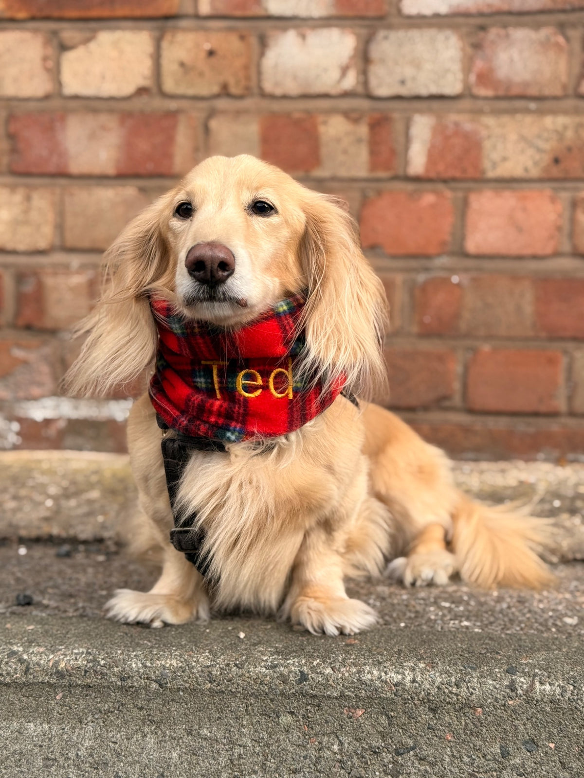 Red Tartan Personalised Dog Snood