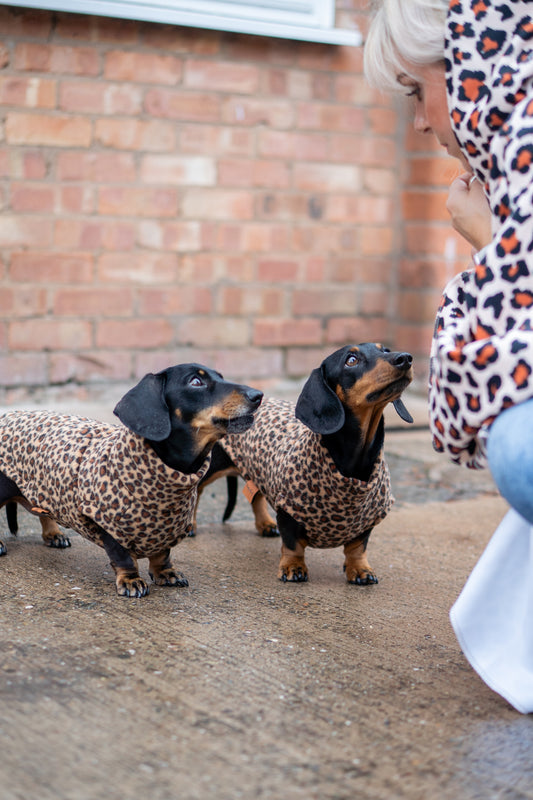 Fleece Dog Snuggle Jumper - Made to Measure