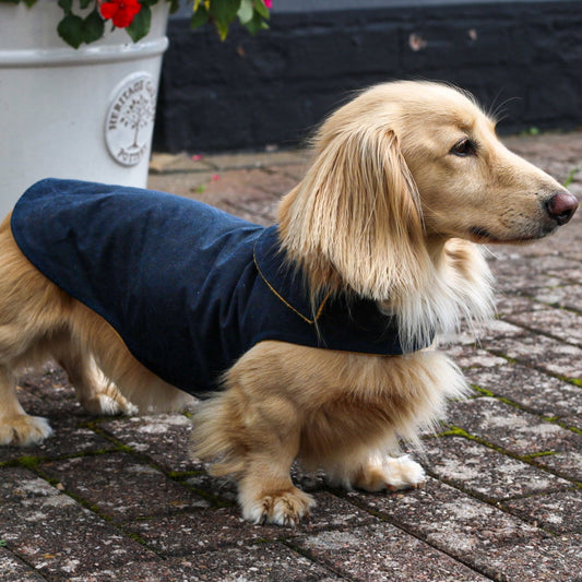 Waxed Cotton, Waterproof Simple Dog Coats