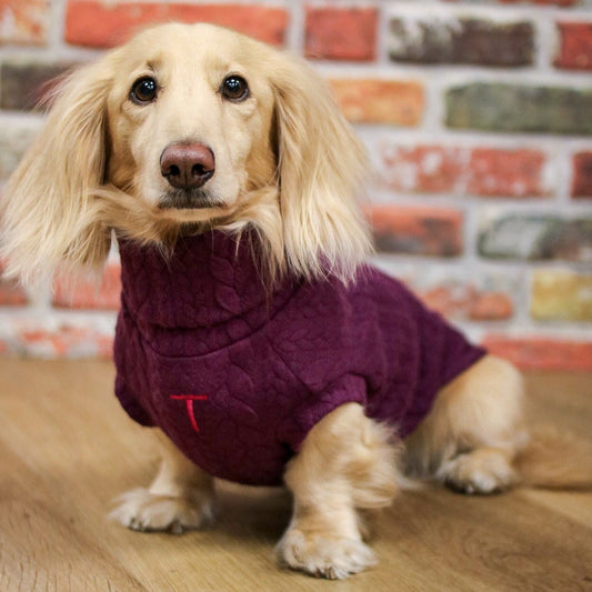 Cable Knit Dog Jumpers