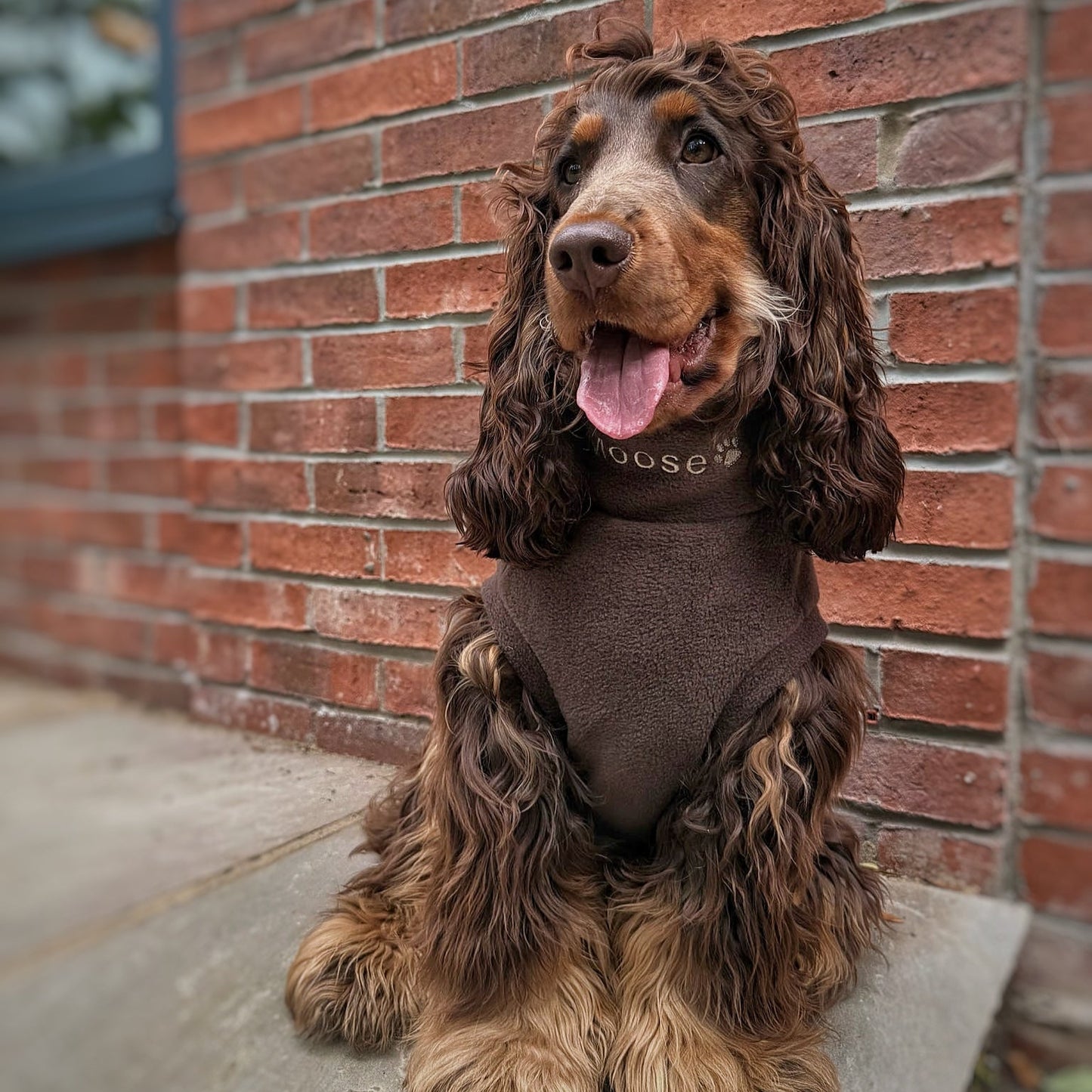 Personalised Made-to-Measure Fleece Dog Jumper – Custom Fit & Embroidery