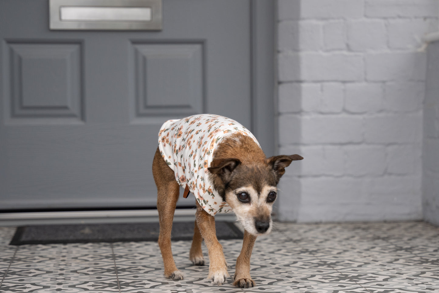 Floral Dog Sweatshirts – Stylish, Cosy & Made to Measure