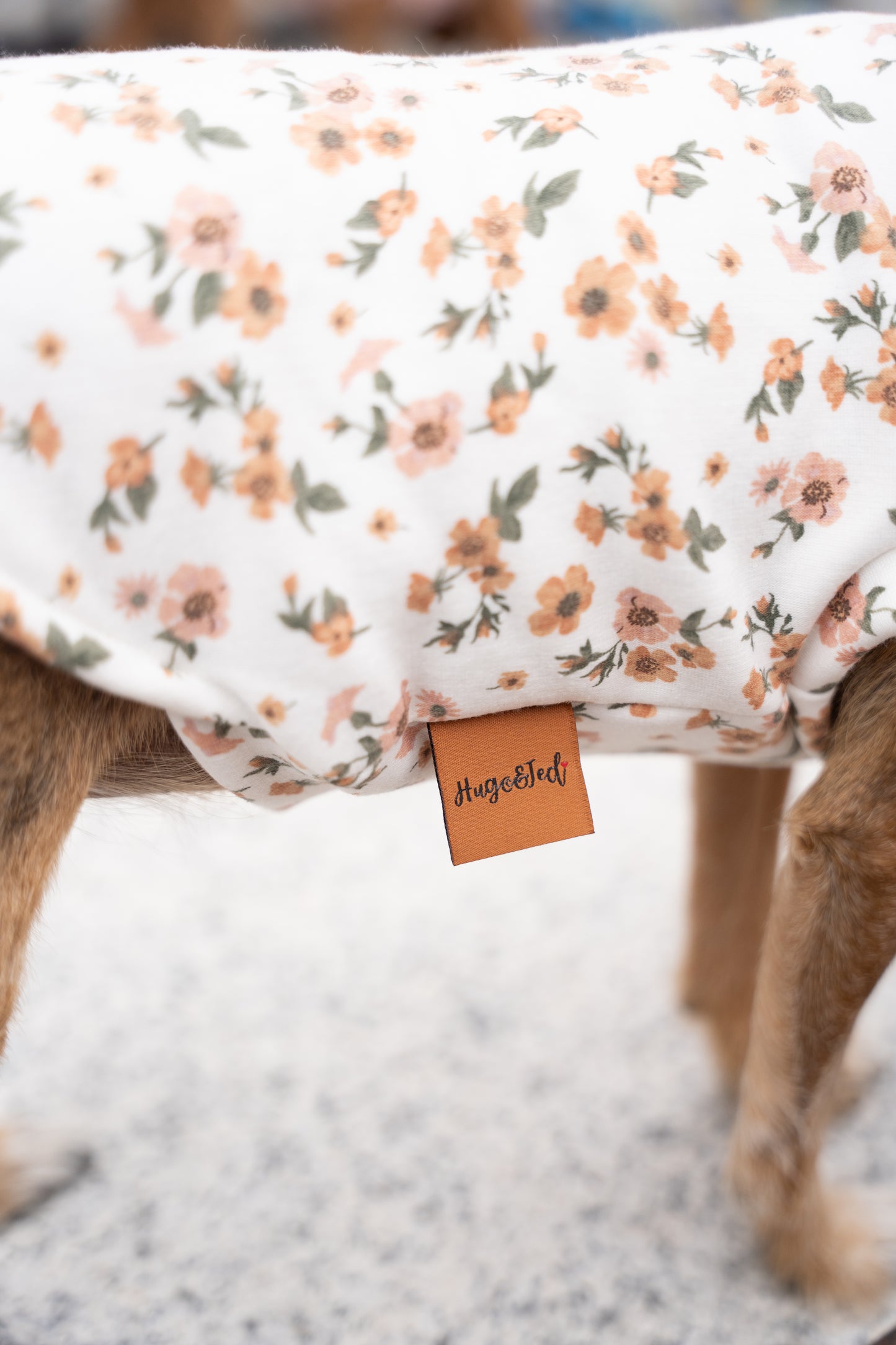 Floral Dog Sweatshirts – Stylish, Cosy & Made to Measure