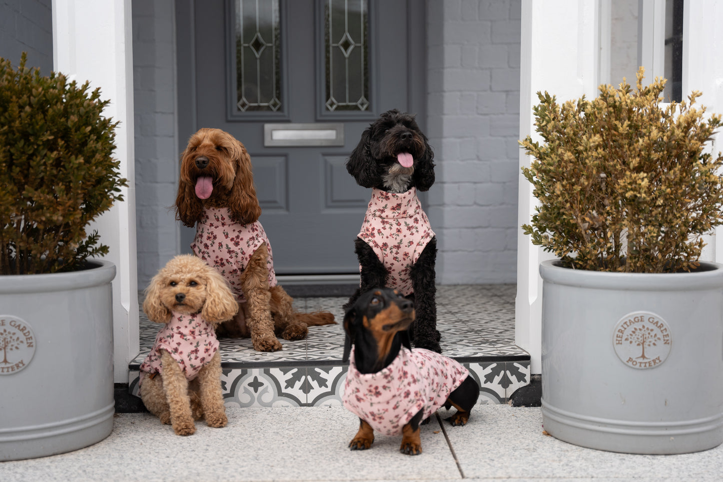 Floral Dog Sweatshirts – Stylish, Cosy & Made to Measure