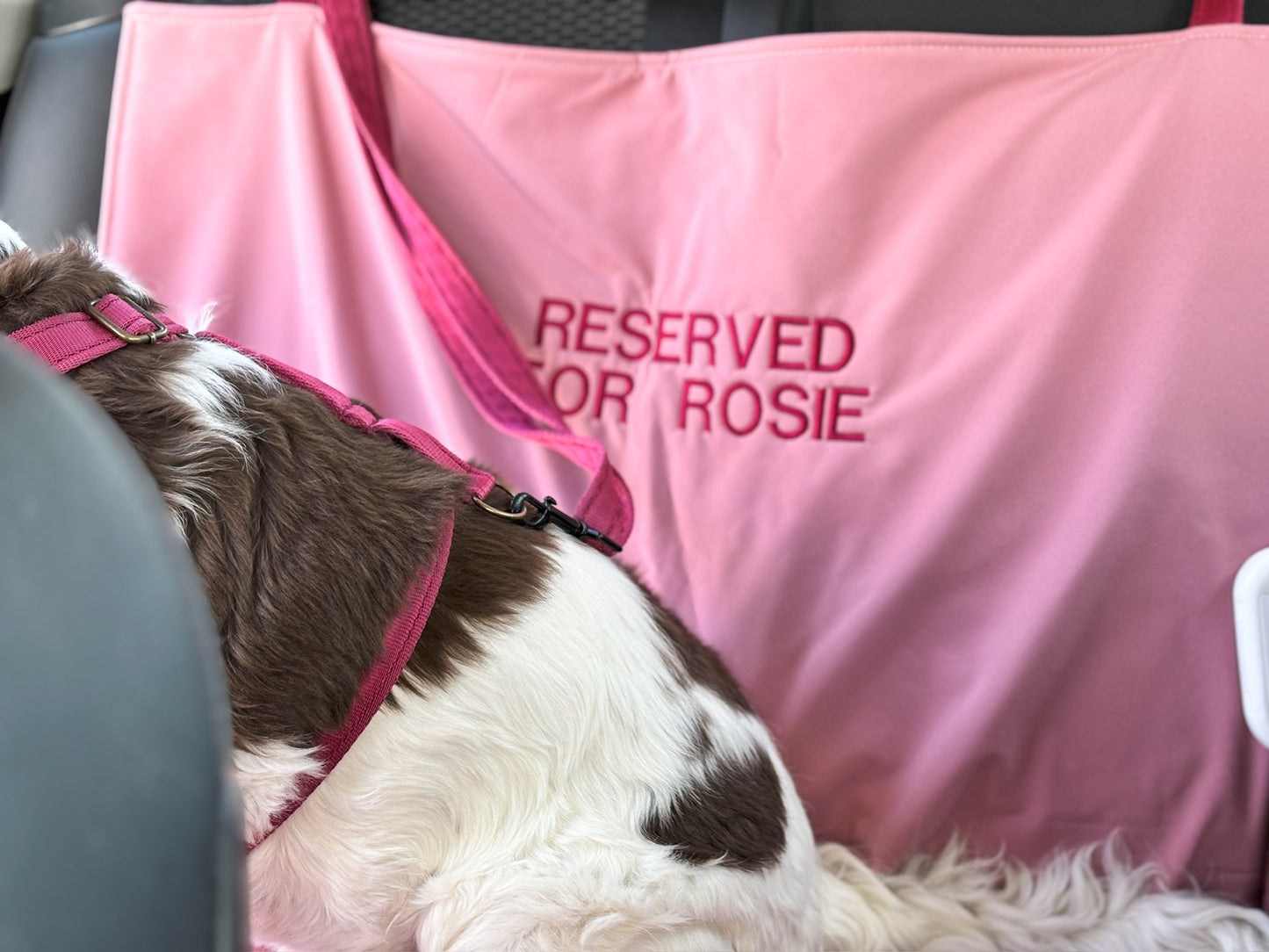 Waterproof Car Boot Liner Mat – Personalised Travel Mat for Dogs and Adventures