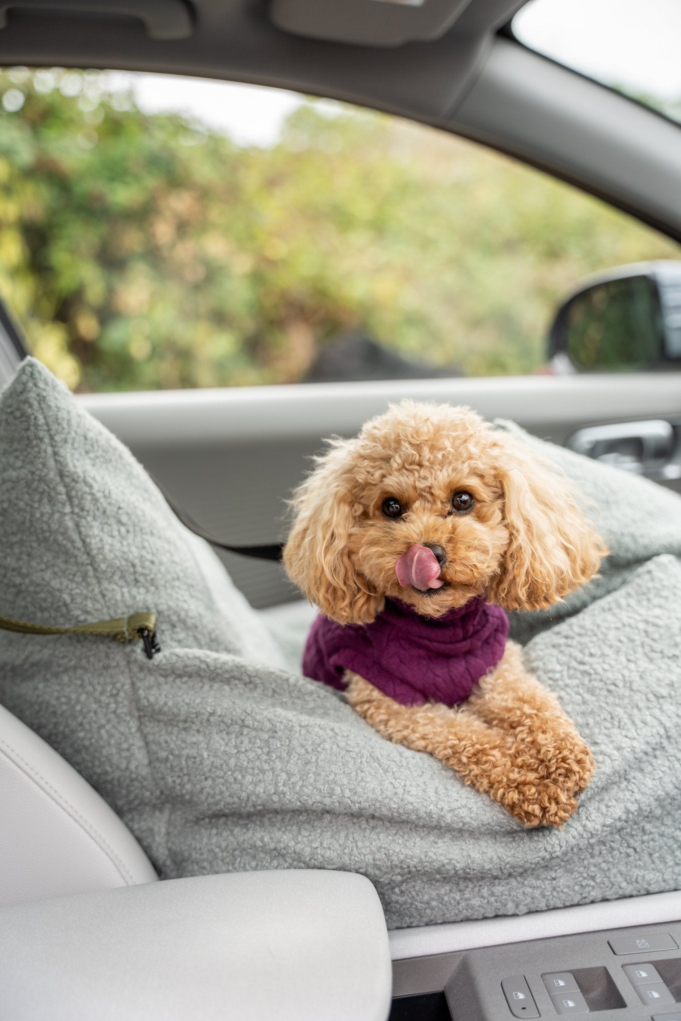 Autumn Bouclé Car Bed for Dogs – Ultra - Soft, Secure & Travel - Friendly Comfort - Hugo and Ted