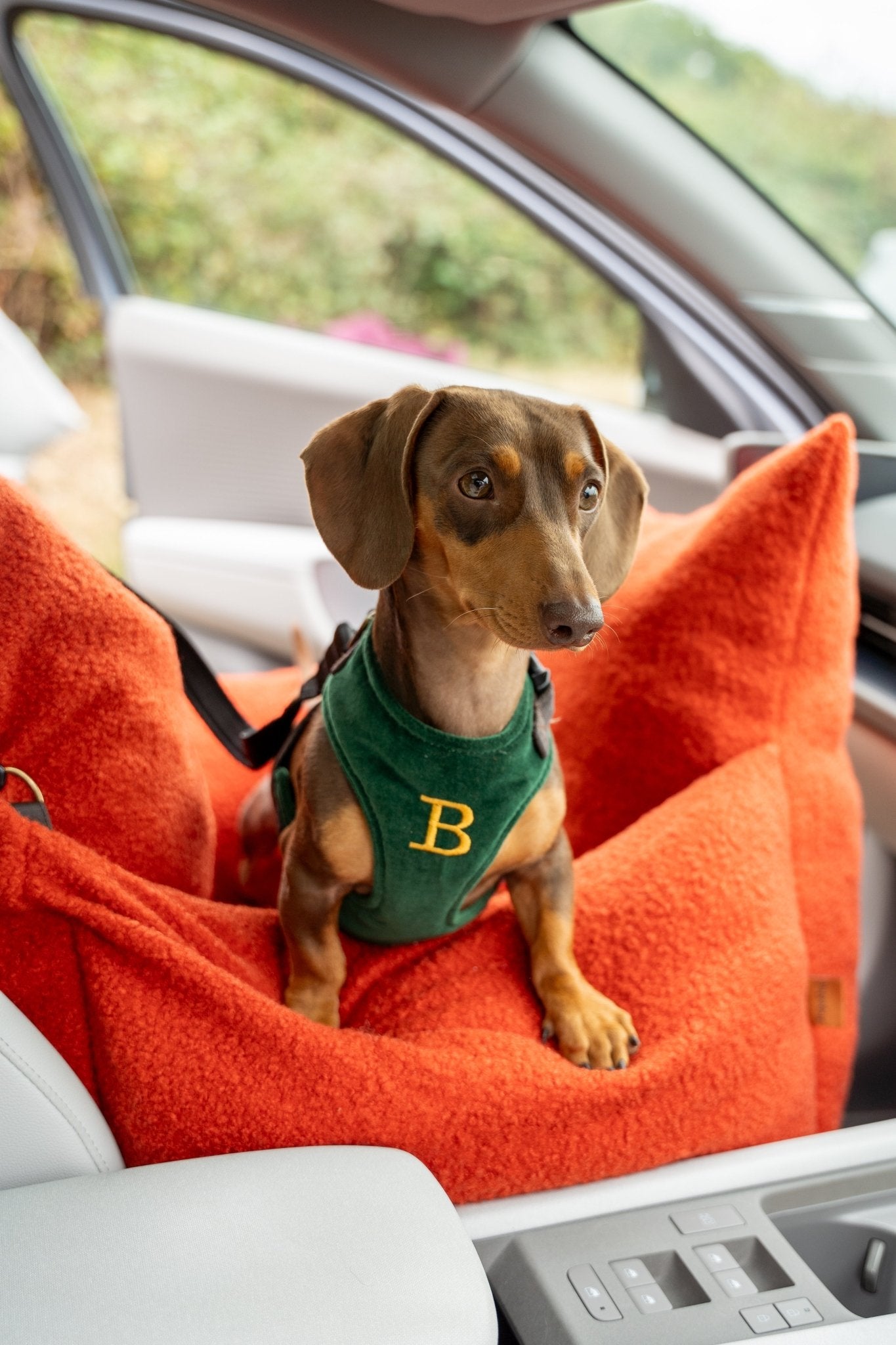 Autumn Bouclé Car Bed for Dogs – Ultra - Soft, Secure & Travel - Friendly Comfort - Hugo and Ted
