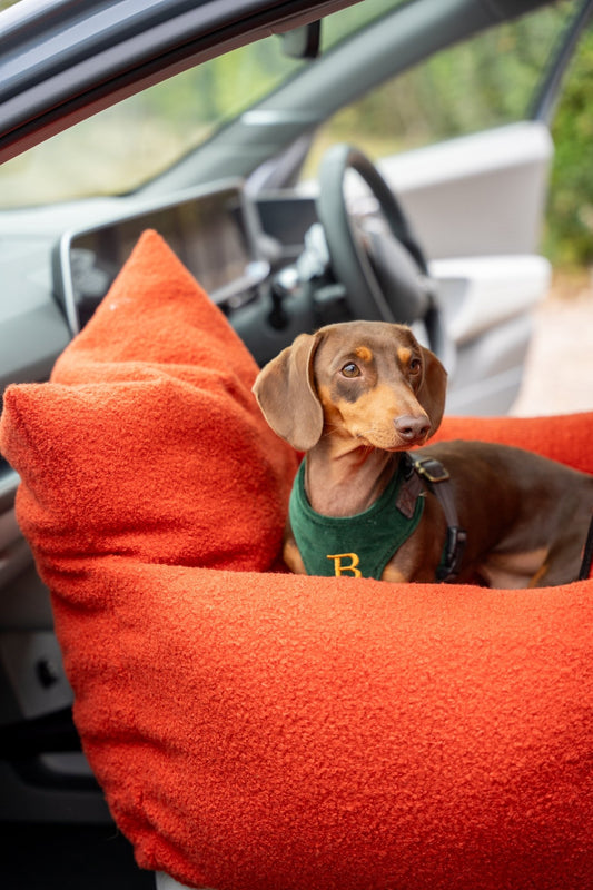 Autumn Bouclé Car Bed for Dogs – Ultra - Soft, Secure & Travel - Friendly Comfort - Hugo and Ted