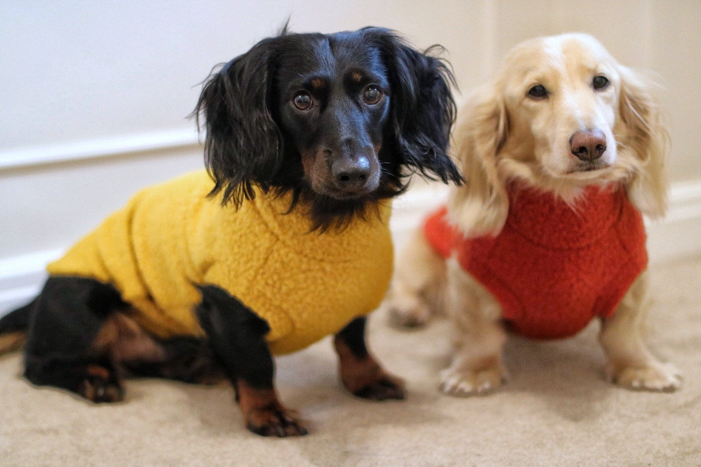 Autumn Bouclé Dog Jumpers – Luxury Made - to - Measure Knitwear for Dogs - Hugo and Ted