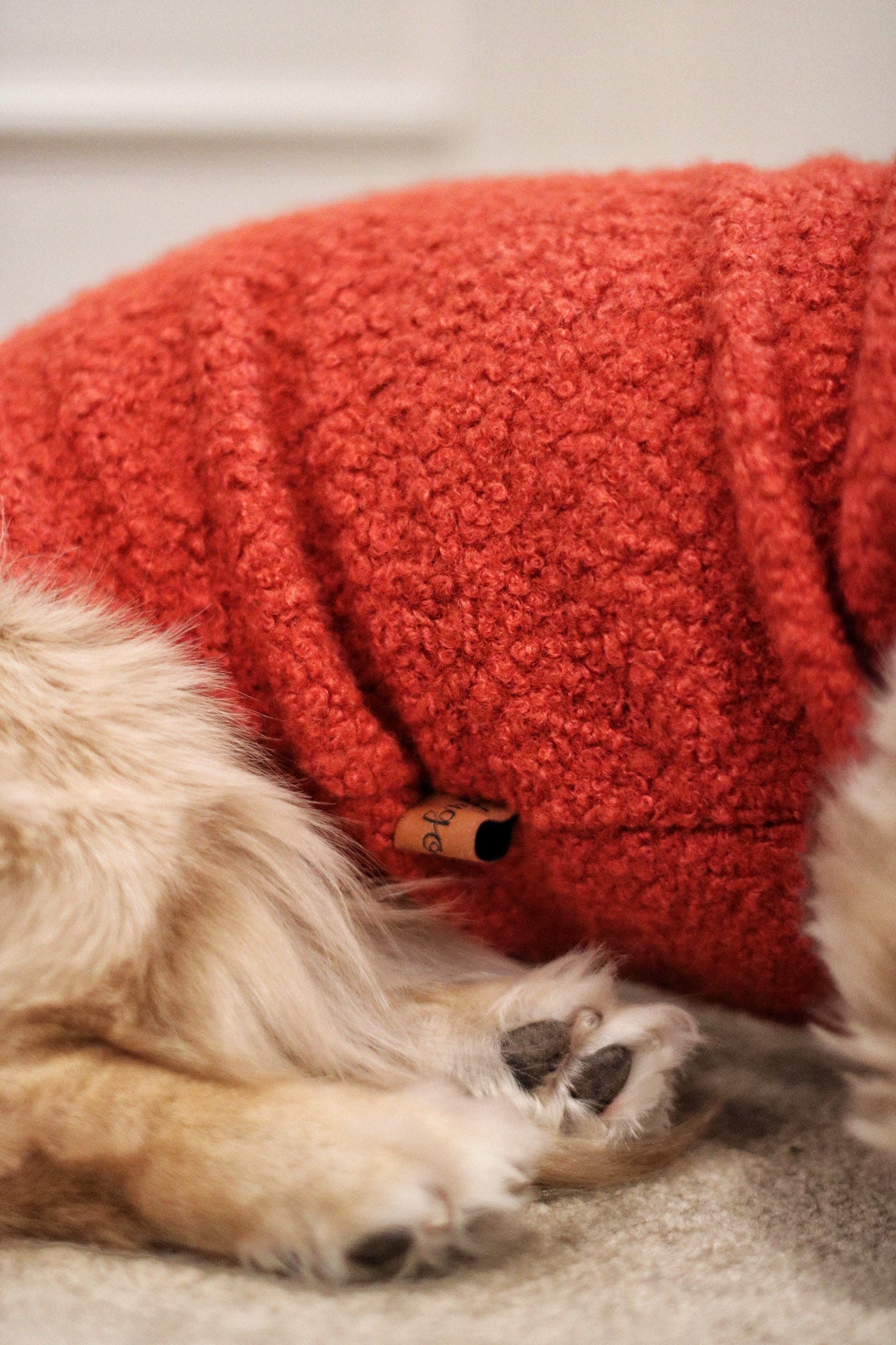 Autumn Bouclé Dog Jumpers – Luxury Made - to - Measure Knitwear for Dogs - Hugo and Ted