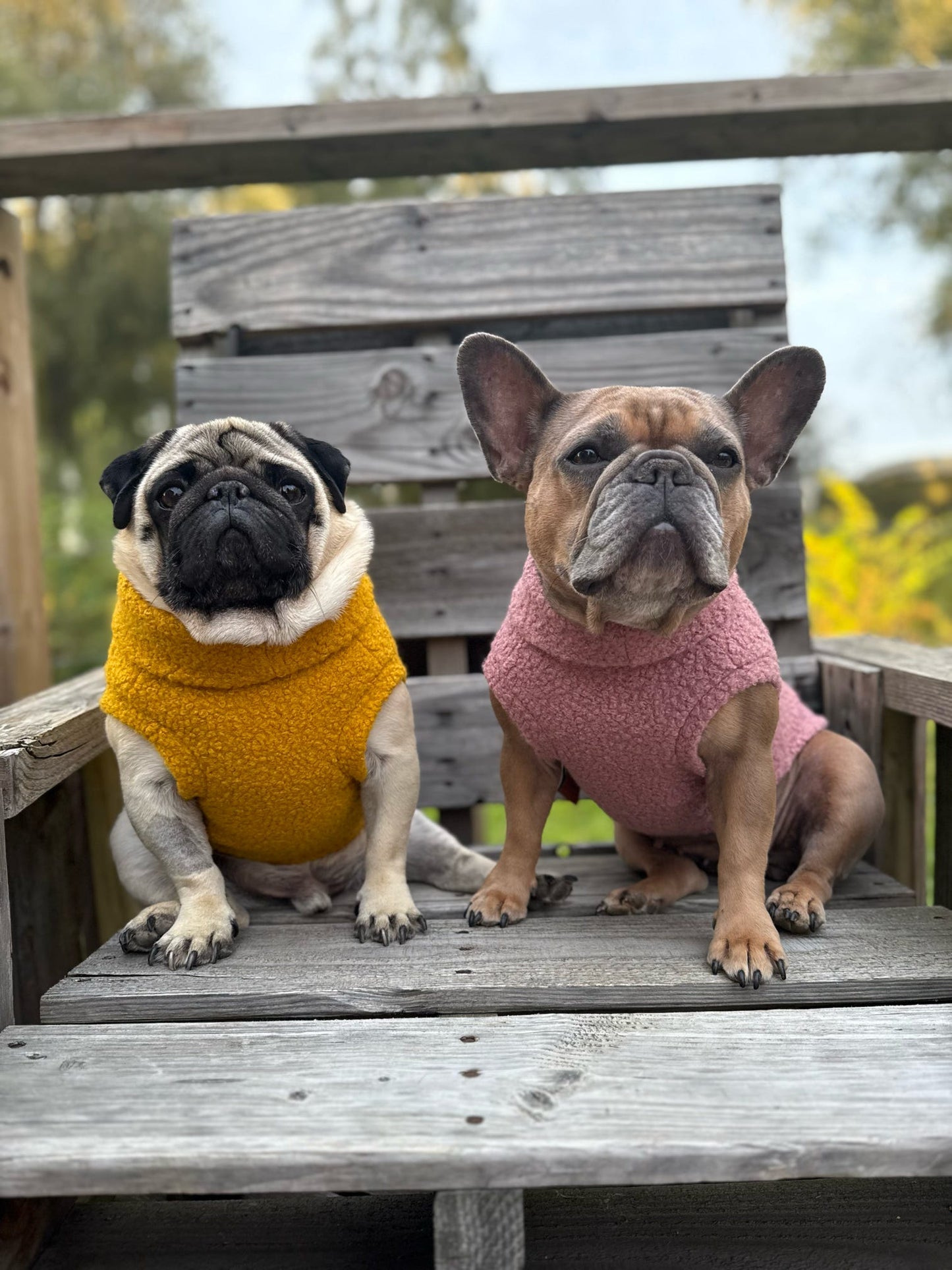 Autumn Bouclé Dog Jumpers – Luxury Made - to - Measure Knitwear for Dogs - Hugo and Ted