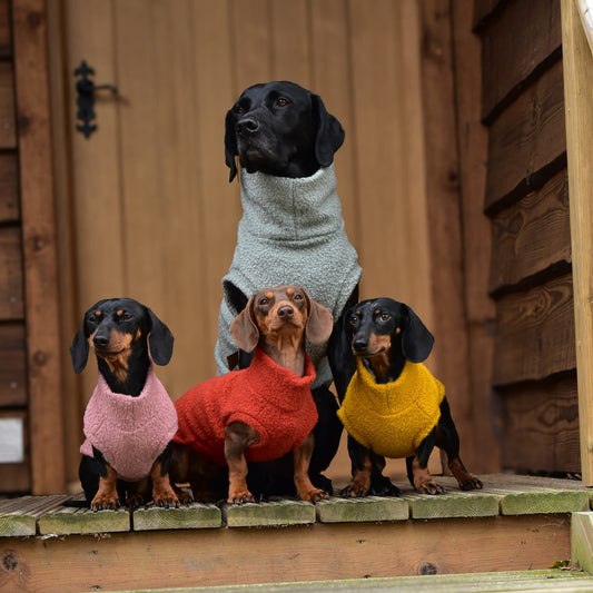 Autumn Bouclé Dog Jumpers – Luxury Made - to - Measure Knitwear for Dogs - Hugo and Ted