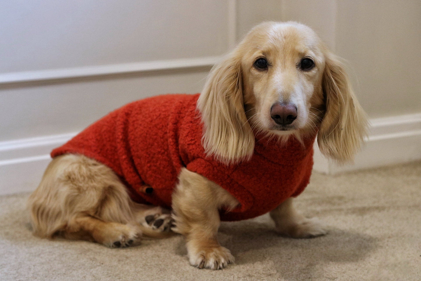 Autumn Bouclé Dog Jumpers – Luxury Made - to - Measure Knitwear for Dogs - Hugo and Ted