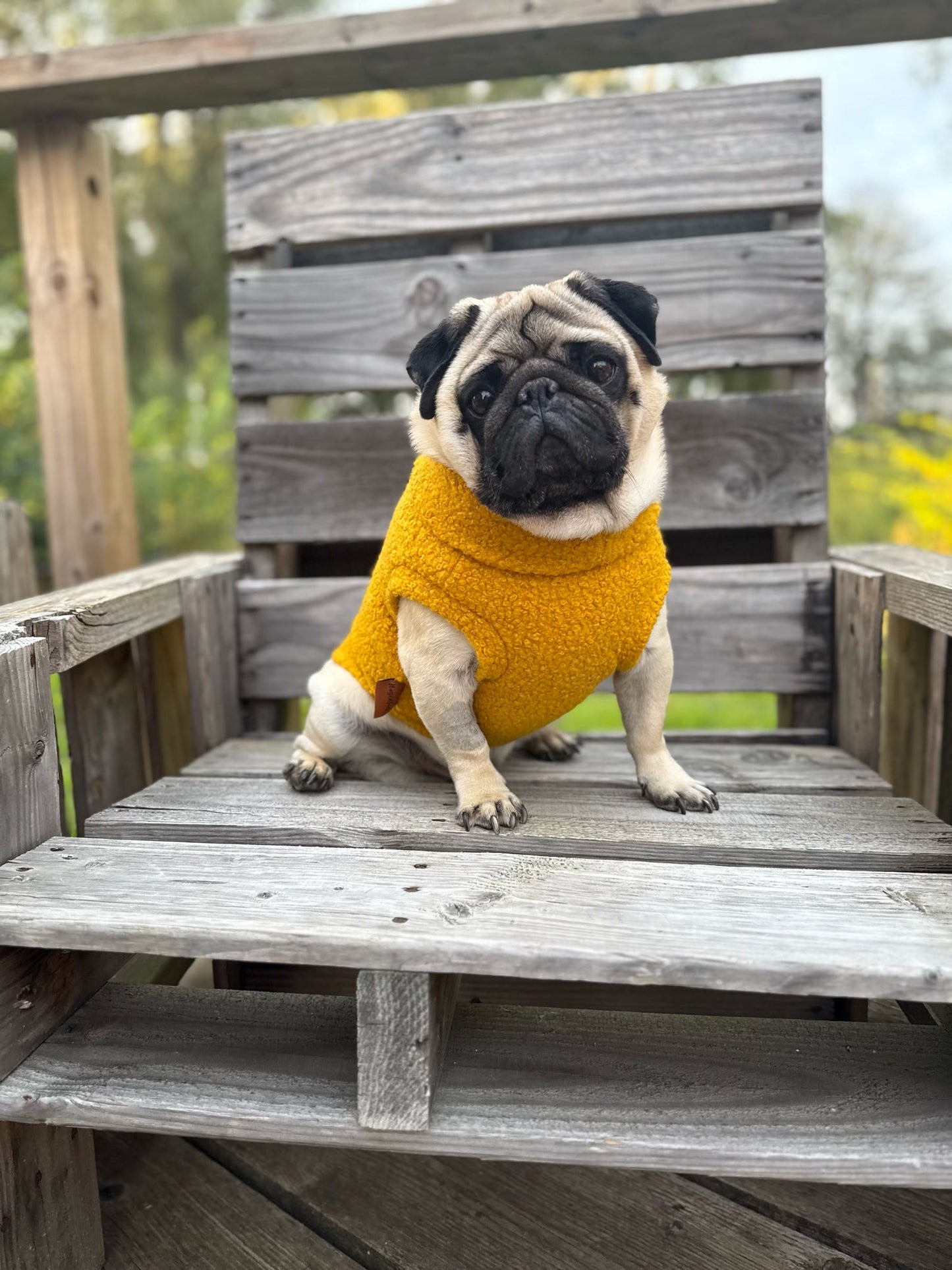 Autumn Bouclé Dog Jumpers – Luxury Made - to - Measure Knitwear for Dogs - Hugo and Ted