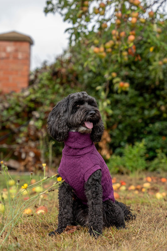 Autumn Cable Knit Dog Jumpers - Soft and Practical Dog Jumpers - Hugo and Ted