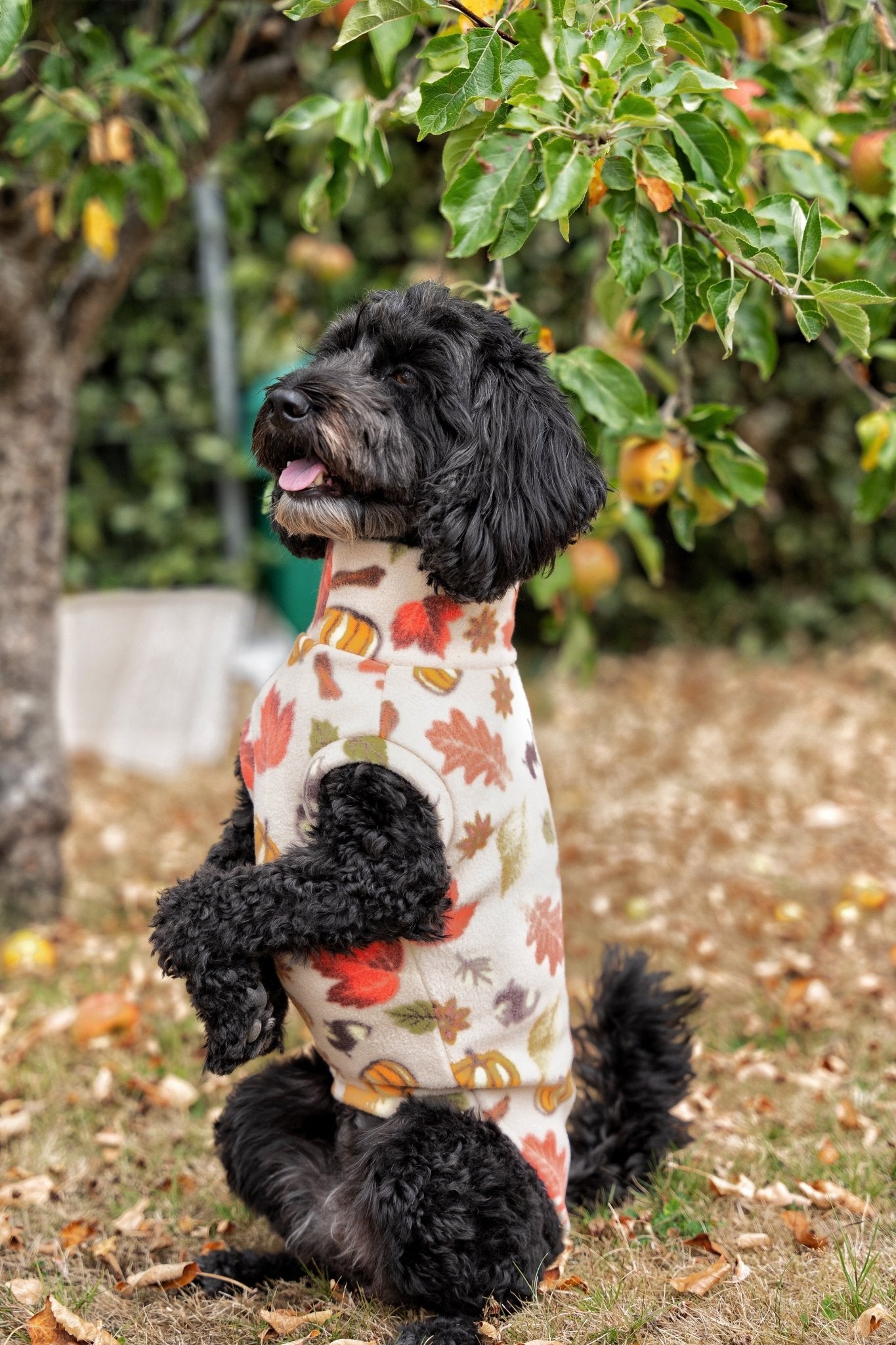 Autumn Spice Snuggle Jumpers – Custom Fit & Rainproof - Hugo and Ted
