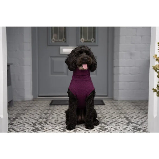 Cable Knit Dog Jumpers - Soft and Practical Dog Jumpers - Hugo and Ted