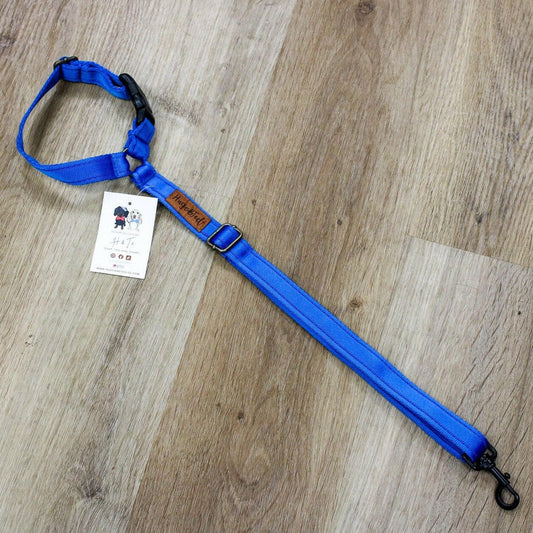 Car Seatbelts - Hugo and Ted