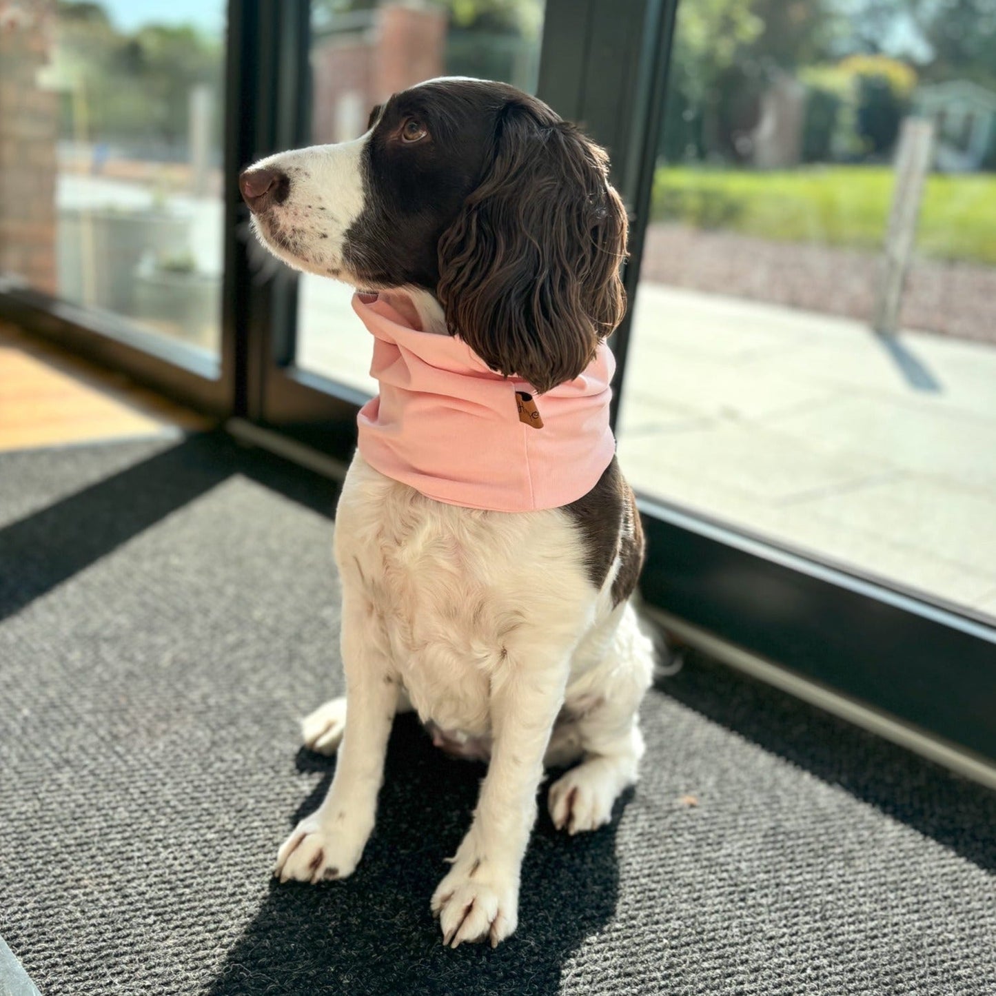 Cotton Cooling Snoods - Hugo and Ted