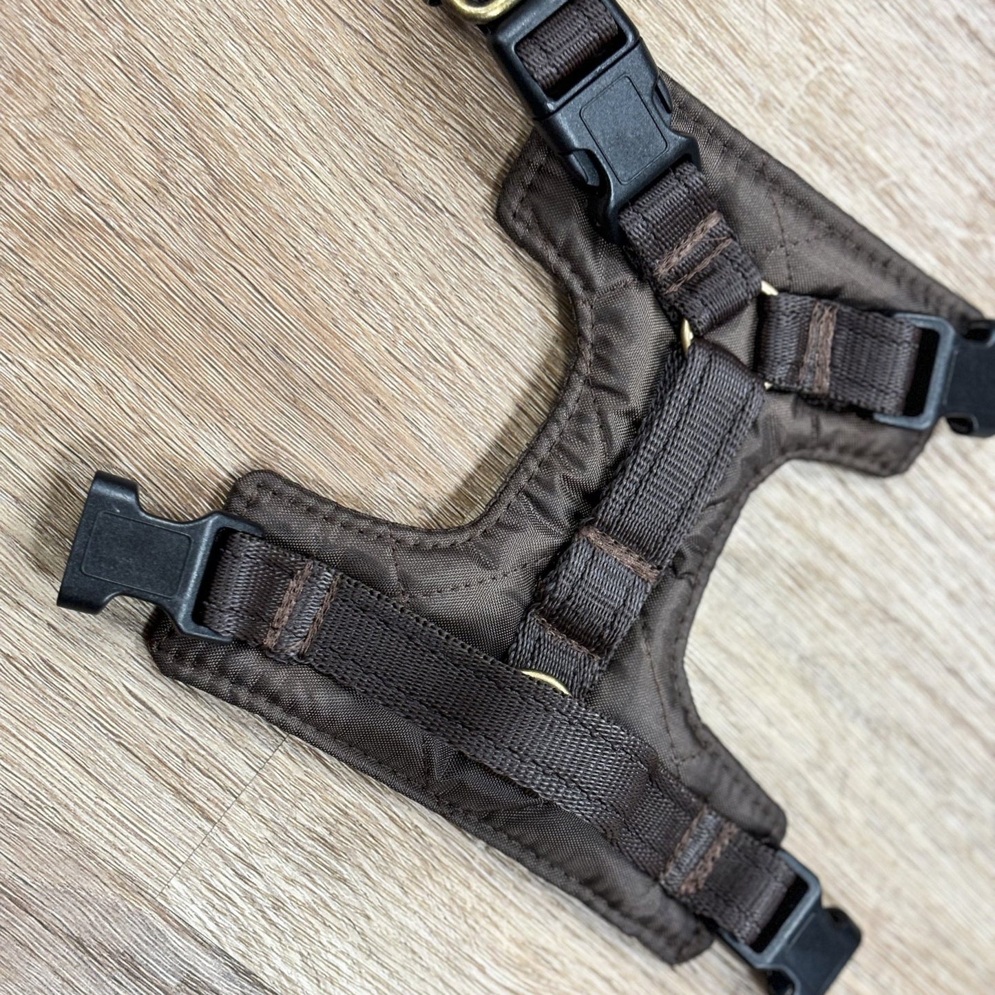 Explorer Harnesses - Hugo and Ted