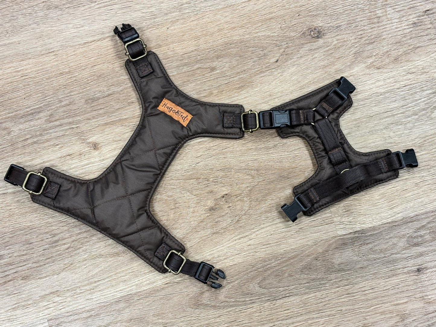 Explorer Harnesses - Hugo and Ted