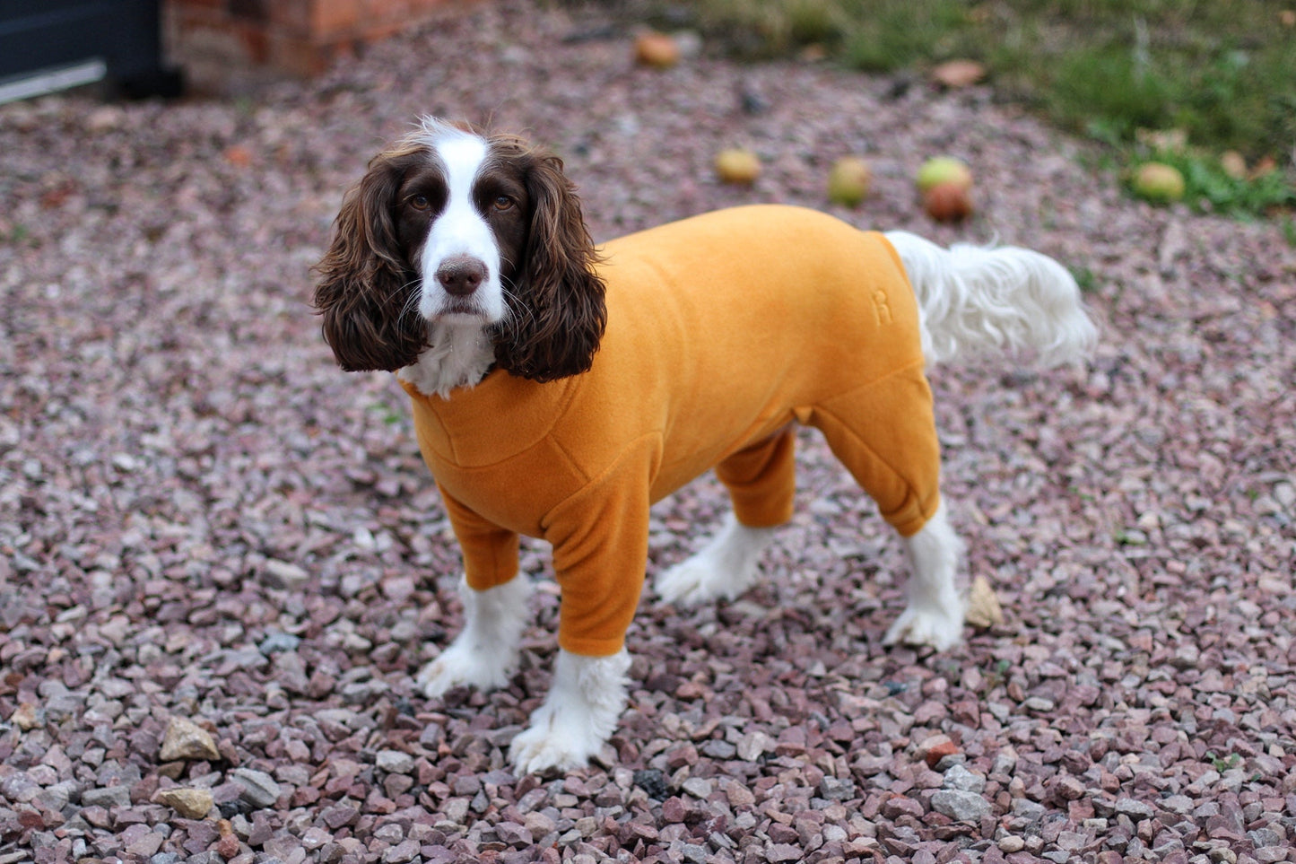 Fleece Dog Jumpsuit - Made to Measure, Personalised, Rainproof & Super Snug - Hugo and Ted