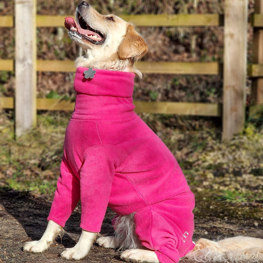 Fleece Dog Jumpsuit - Made to Measure, Personalised, Rainproof & Super Snug - Hugo and Ted