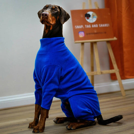 Fleece Dog Jumpsuit - Made to Measure, Personalised, Rainproof & Super Snug - Hugo and Ted