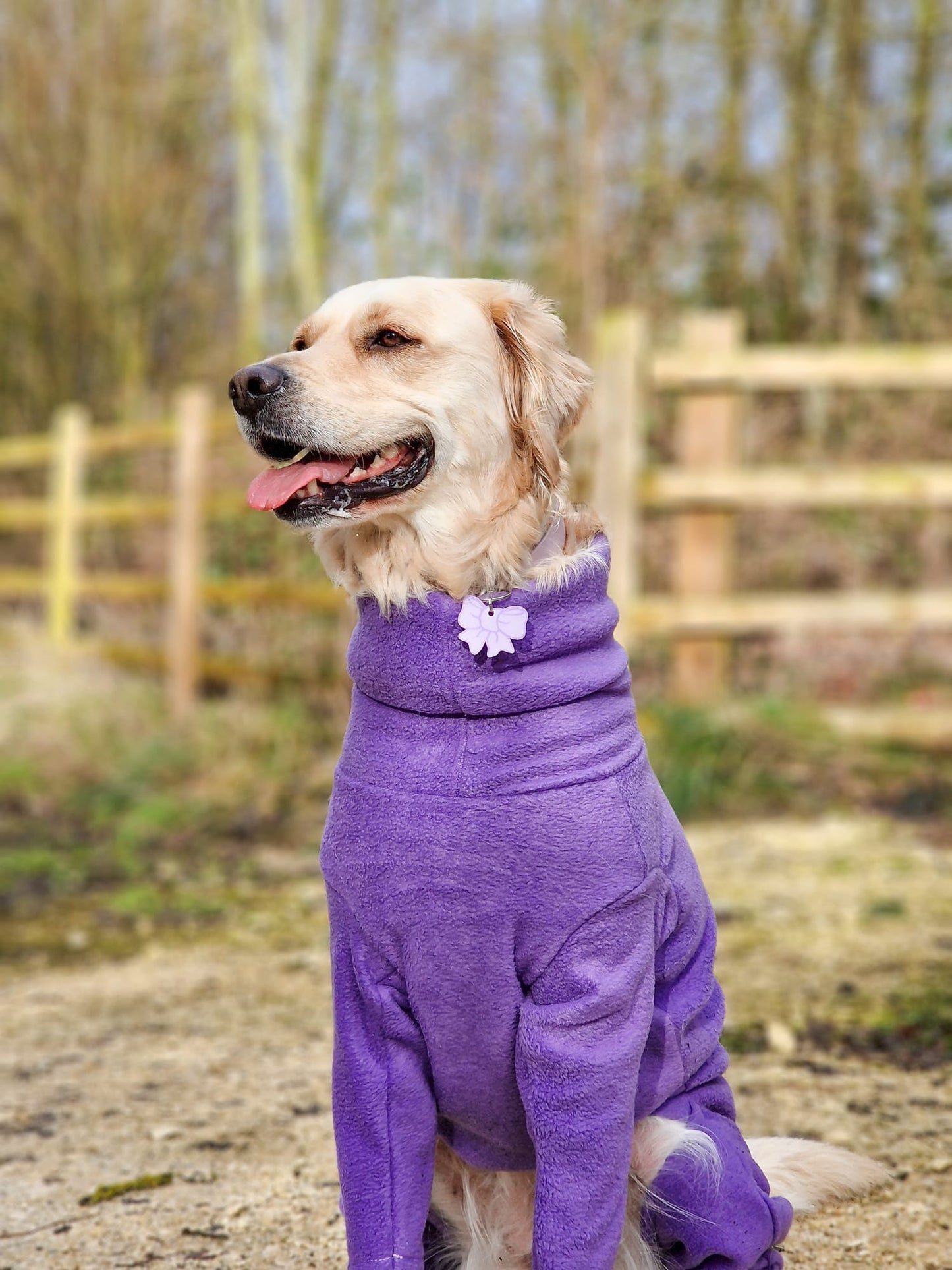 Fleece Dog Jumpsuit - Made to Measure, Personalised, Rainproof & Super Snug - Hugo and Ted