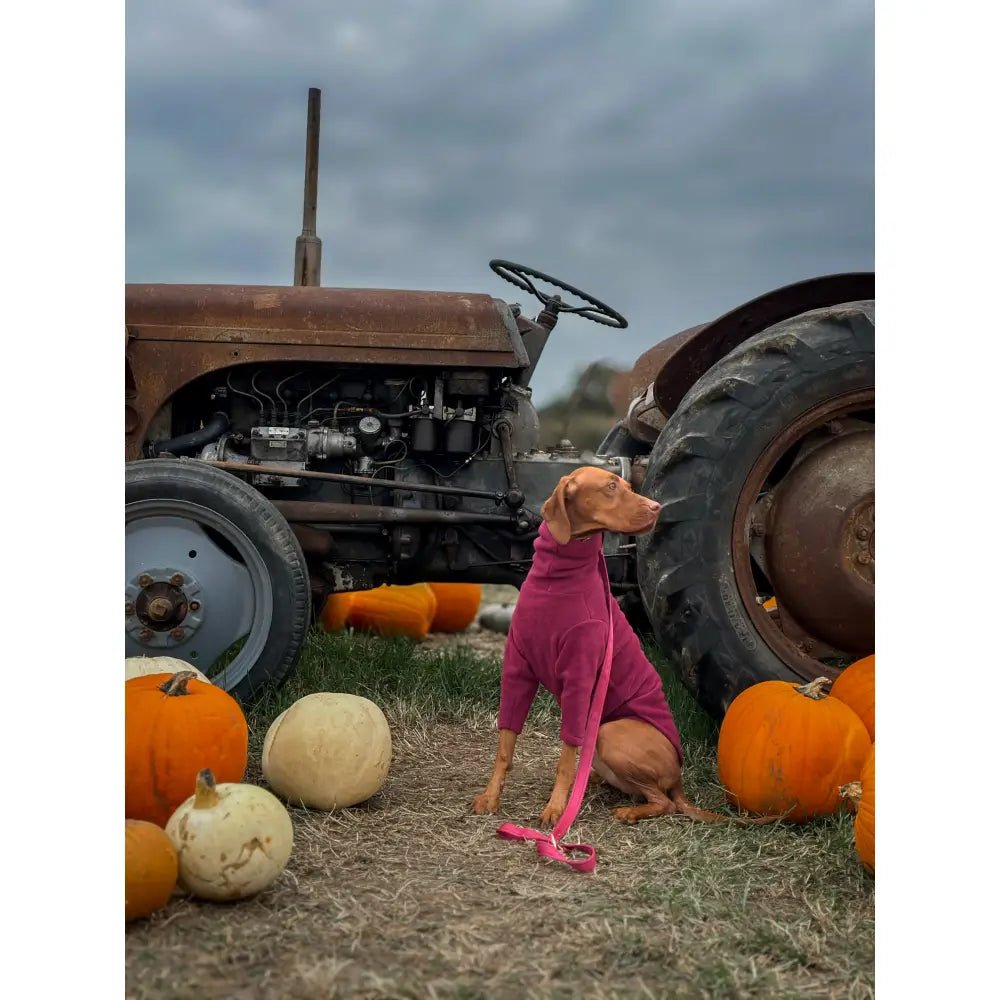 Front Leg Fleece Dog Snuggle Jumper - Made to Measure - Hugo and Ted
