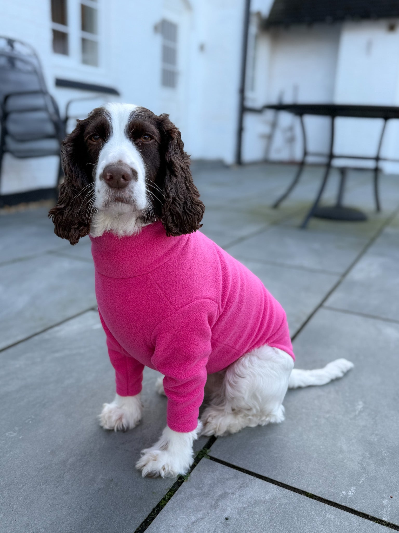 Front Leg Fleece Snuggle Jumpers - Hugo and Ted