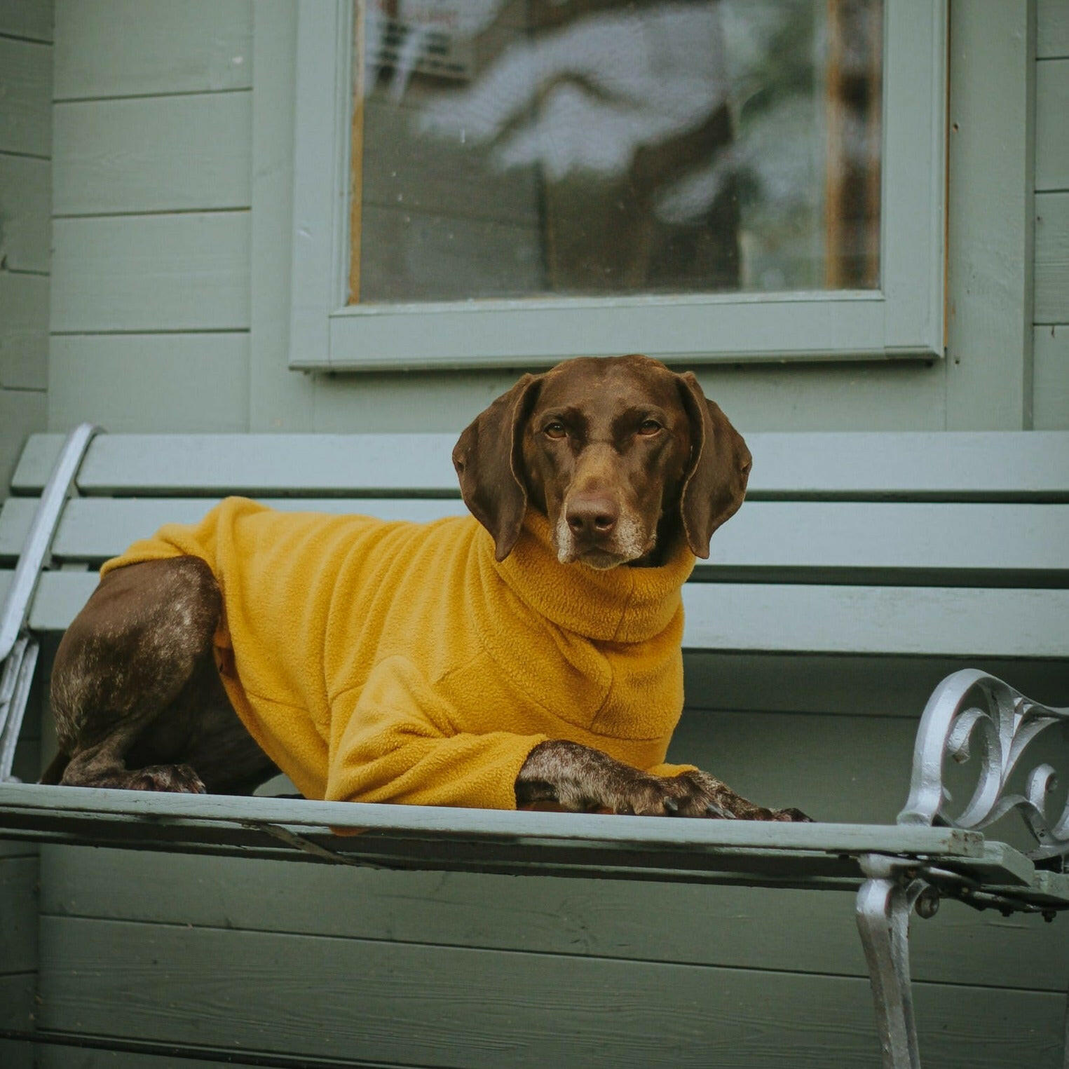 Front Leg Fleece Snuggle Jumpers - Hugo and Ted