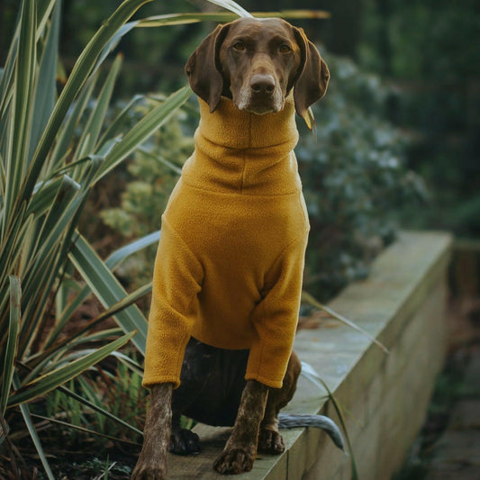 Front Leg Fleece Snuggle Jumpers - Hugo and Ted
