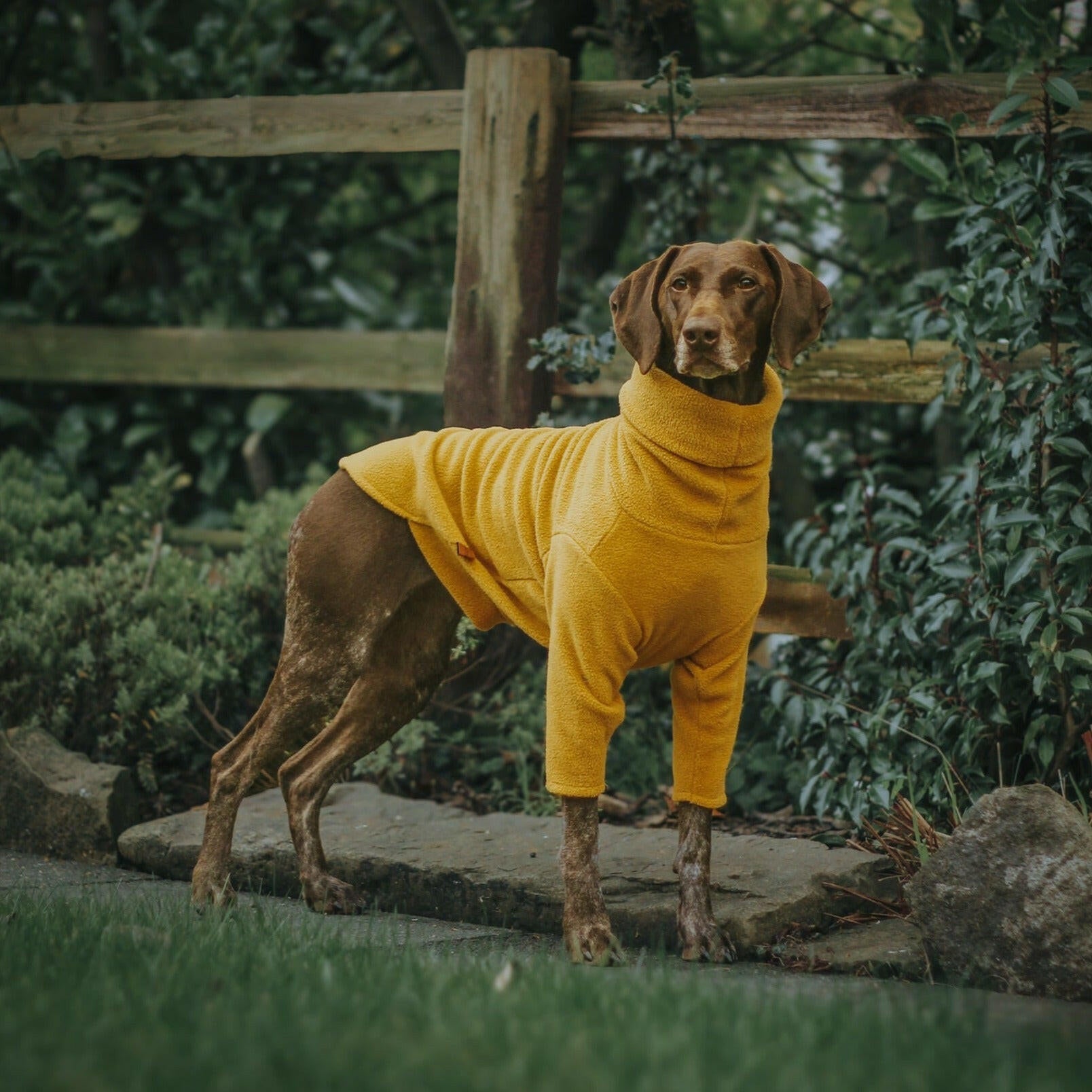 Front Leg Fleece Snuggle Jumpers - Hugo and Ted