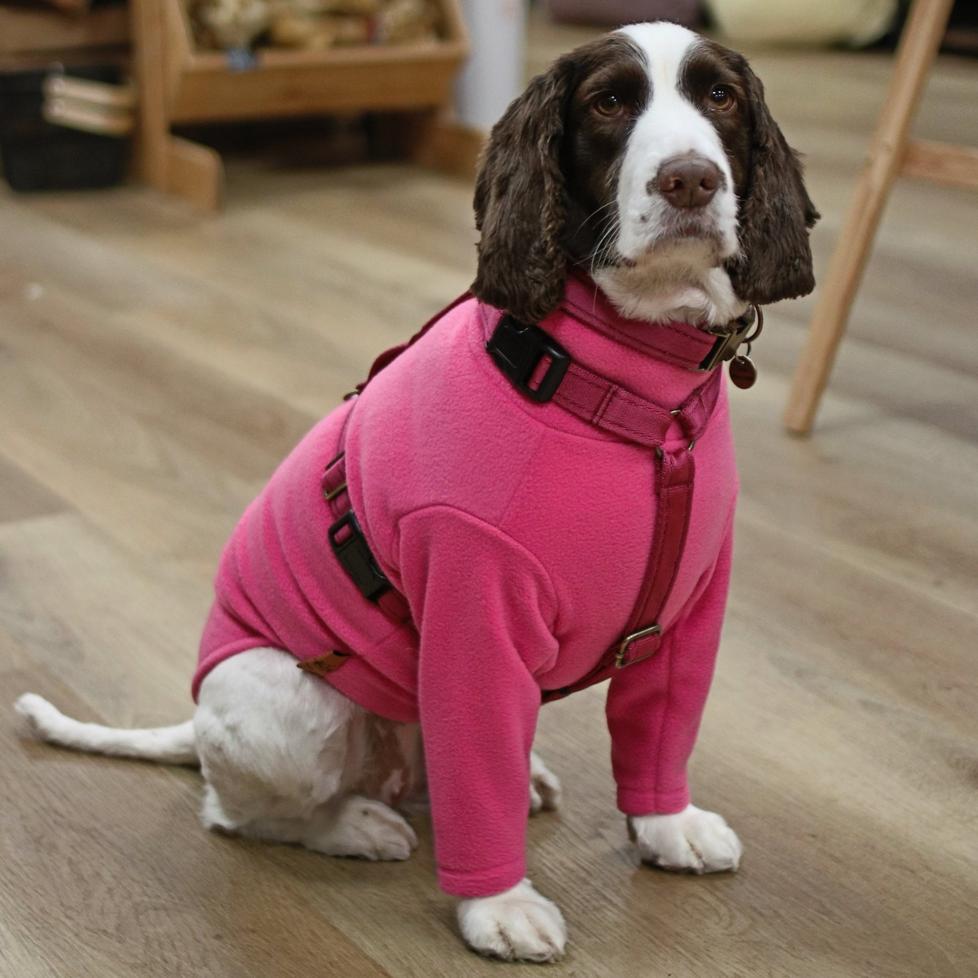 Front Leg Fleece Snuggle Jumpers - Hugo and Ted