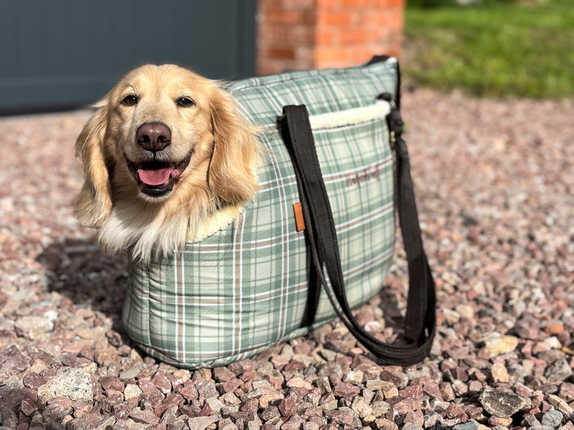Heritage Collection Dog Carry Bags - Hugo and Ted