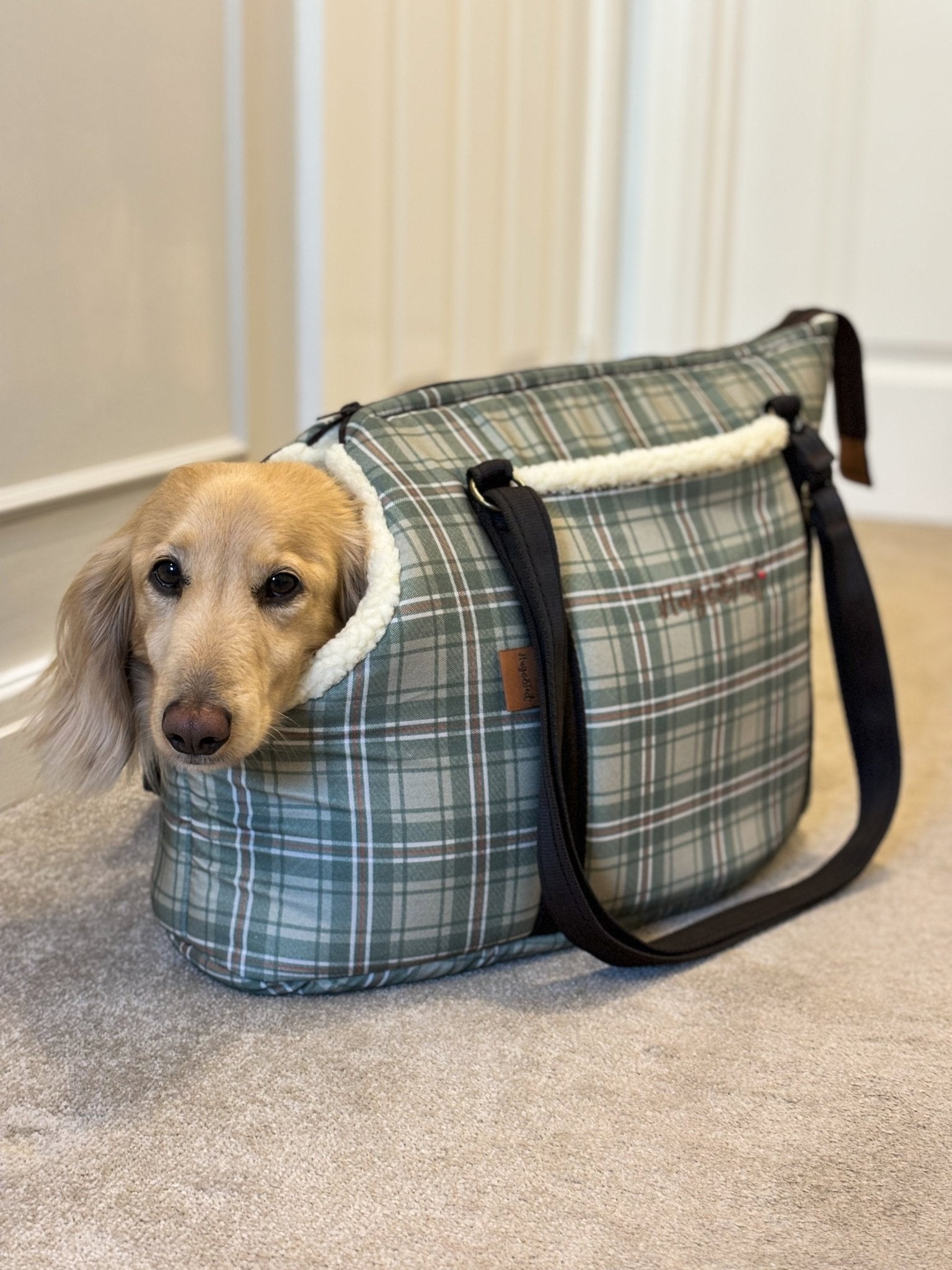 Heritage Collection Dog Carry Bags - Hugo and Ted