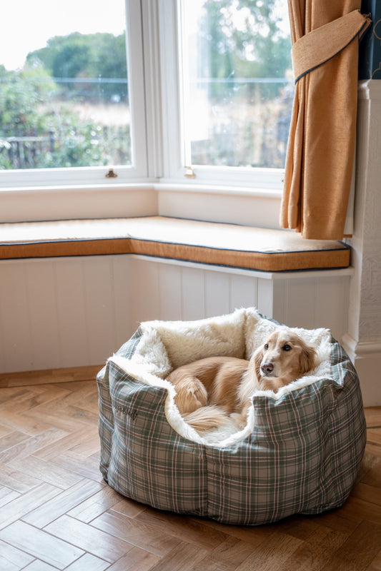 Heritage Collection Rainfleece Fortress Bed - Removable Covers, Machine Washable - Hugo and Ted