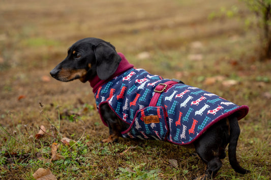 Hugo and Ted Print Ultimate Walkies Waterproof Dog Coat - Made to Measure - Hugo and Ted