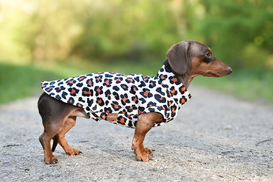 Lenny Leopard Print Rainfleece Dog Coat - Made to Measure - Hugo and Ted