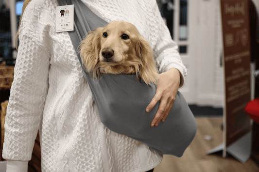 Lightweight Summer Jersey Dog Sling Carrier – Perfect for Small, Elderly, or Disabled Dogs in Warmer Weather - Hugo and Ted