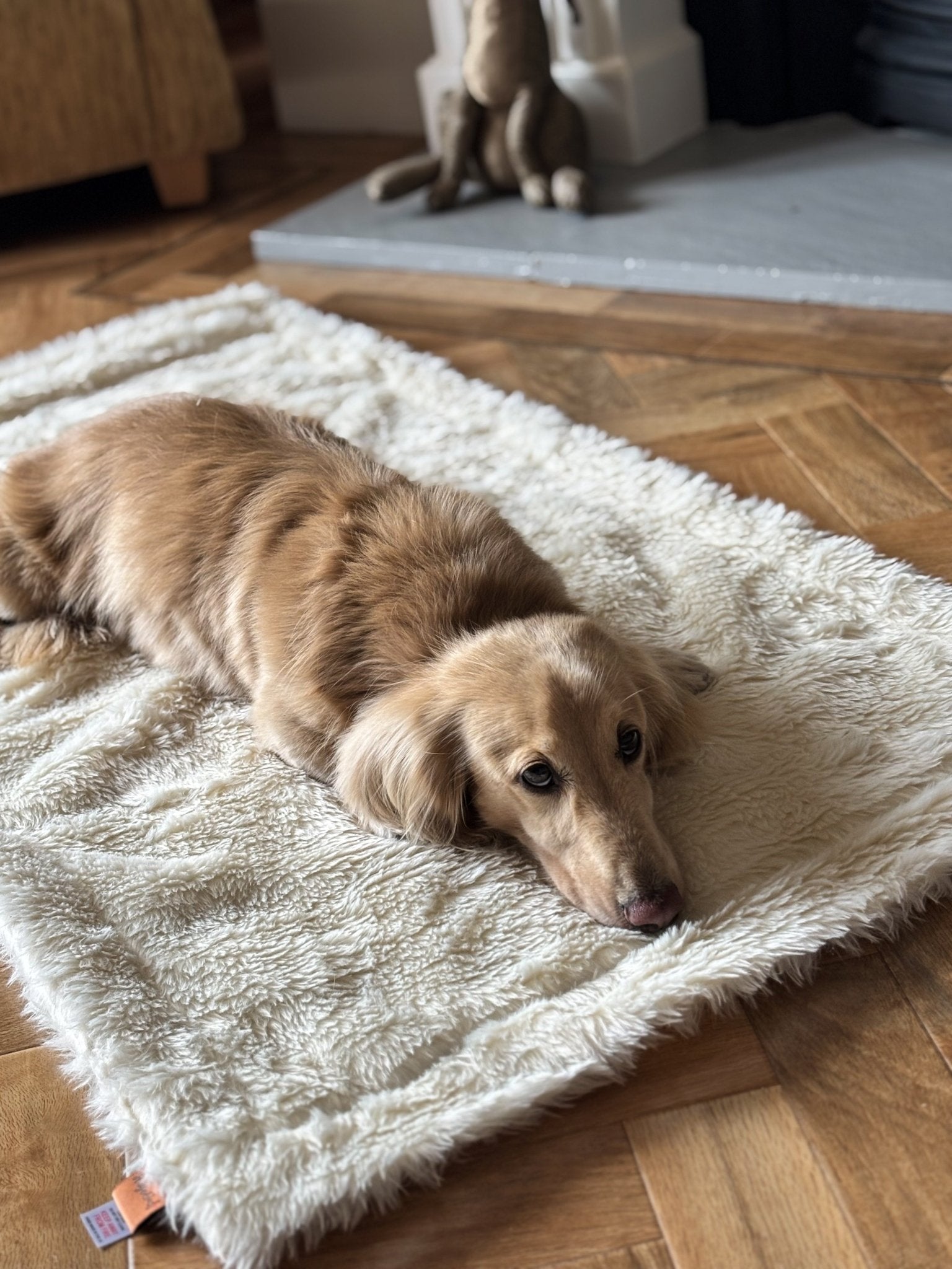 Luxe Bed Topper Blanket – Ultra - Soft Faux Fur Throw for Cozy Sleep & Stylish Bedding - Hugo and Ted