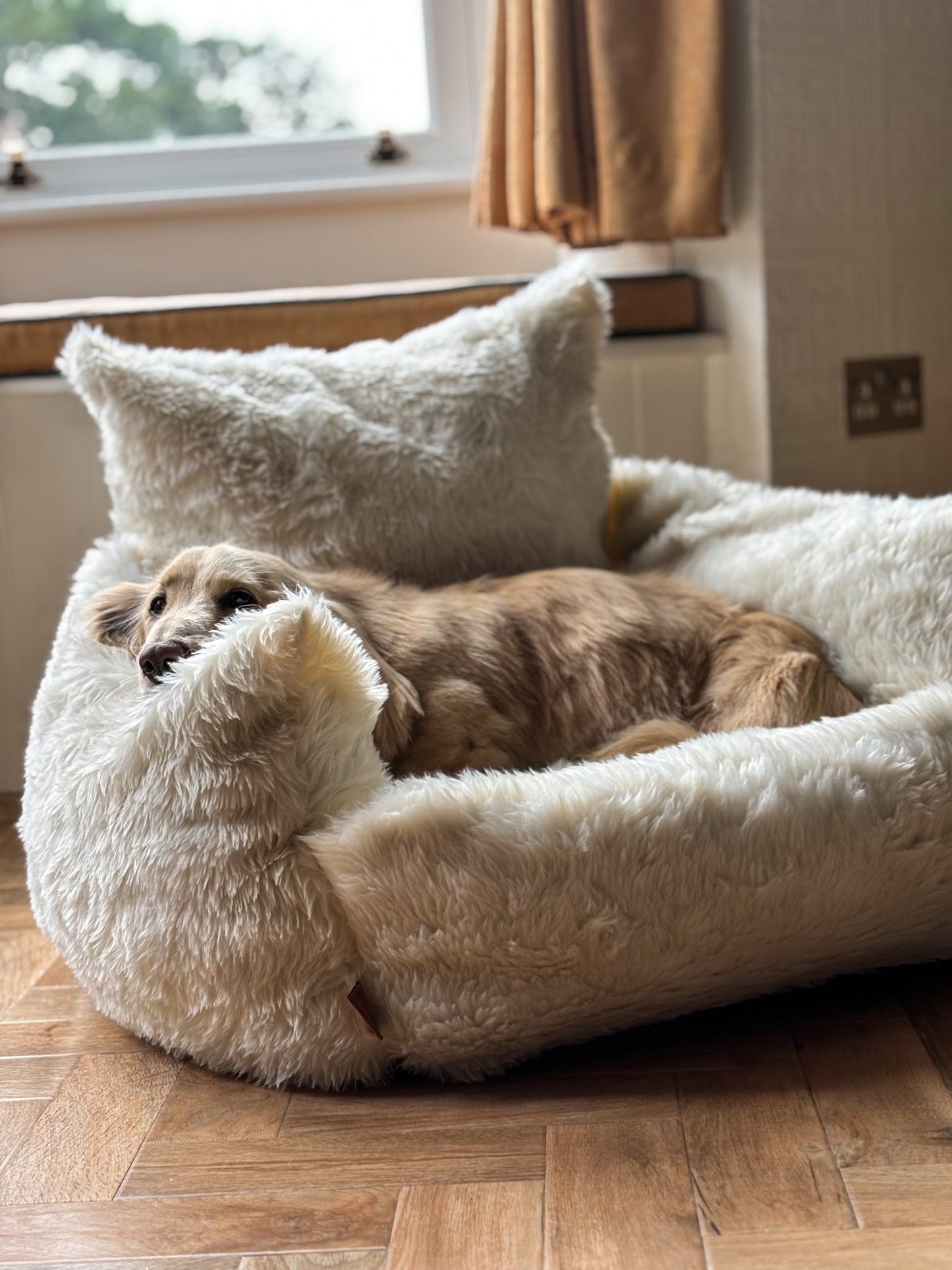 Luxe Lounger Deluxe Dog Sofa Bed – Luxury Pet Couch for Ultimate Comfort - Hugo and Ted