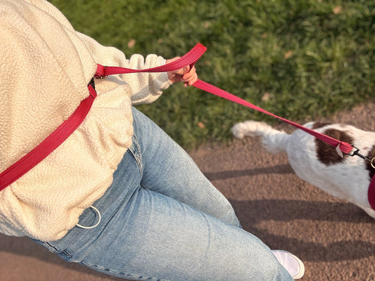 Multi - Way Waterproof Lead - Hugo and Ted