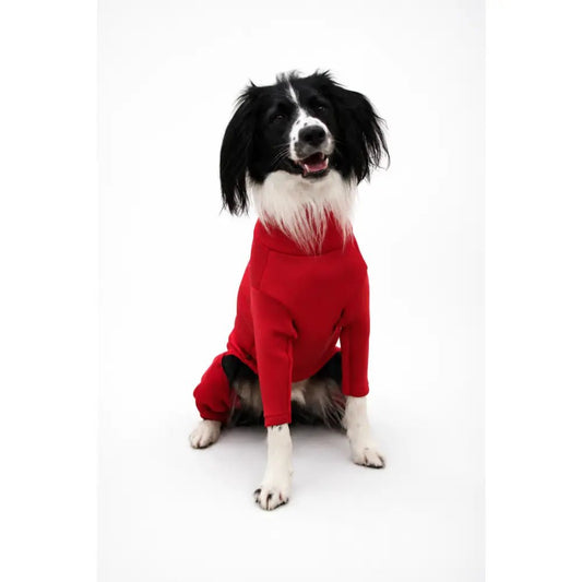Neoprene Custom Dog Jumpsuit - Made to Measure | Hugo and Ted - Hugo and Ted