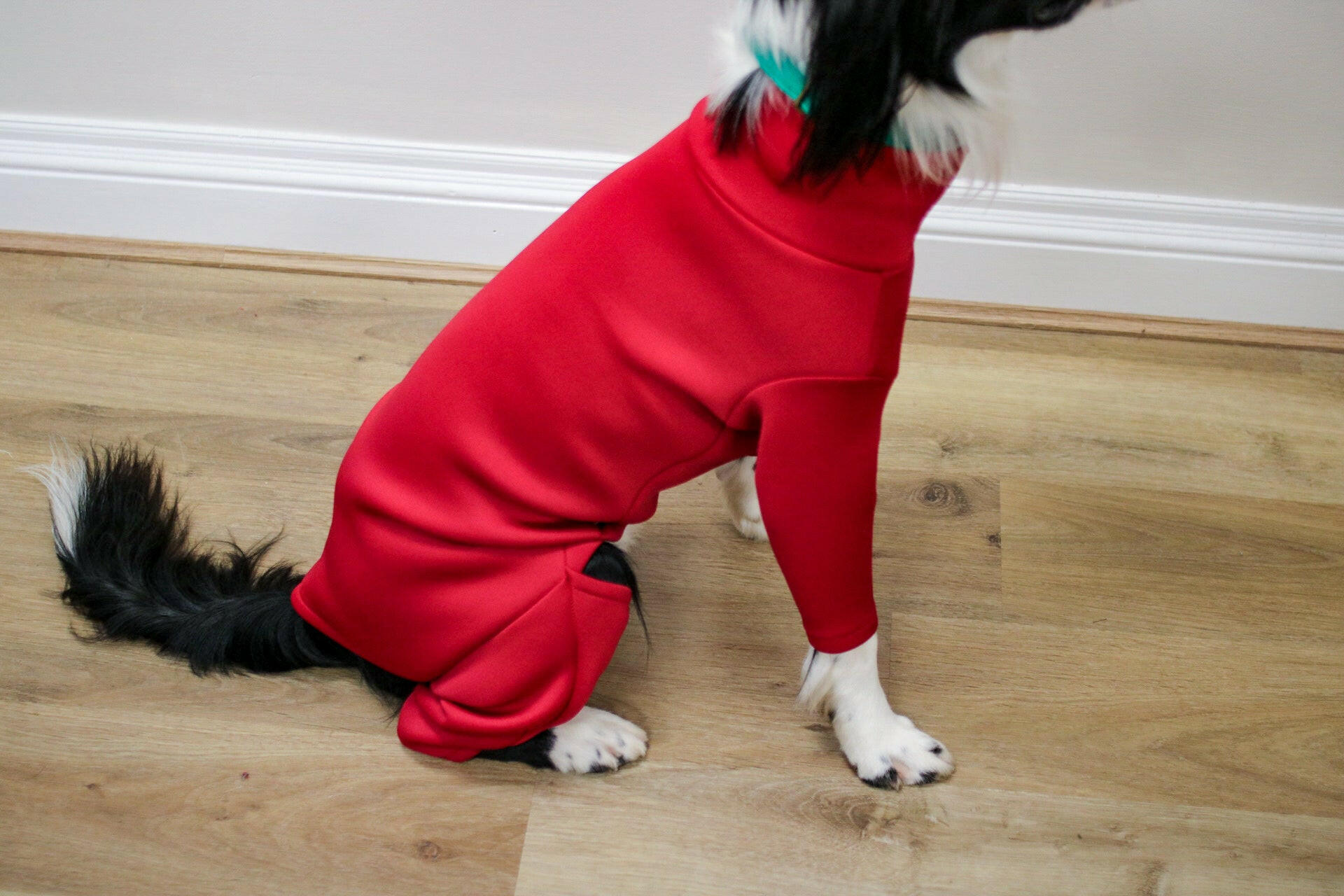 Neoprene Dog Jumpsuit - Made to Measure - Hugo and Ted