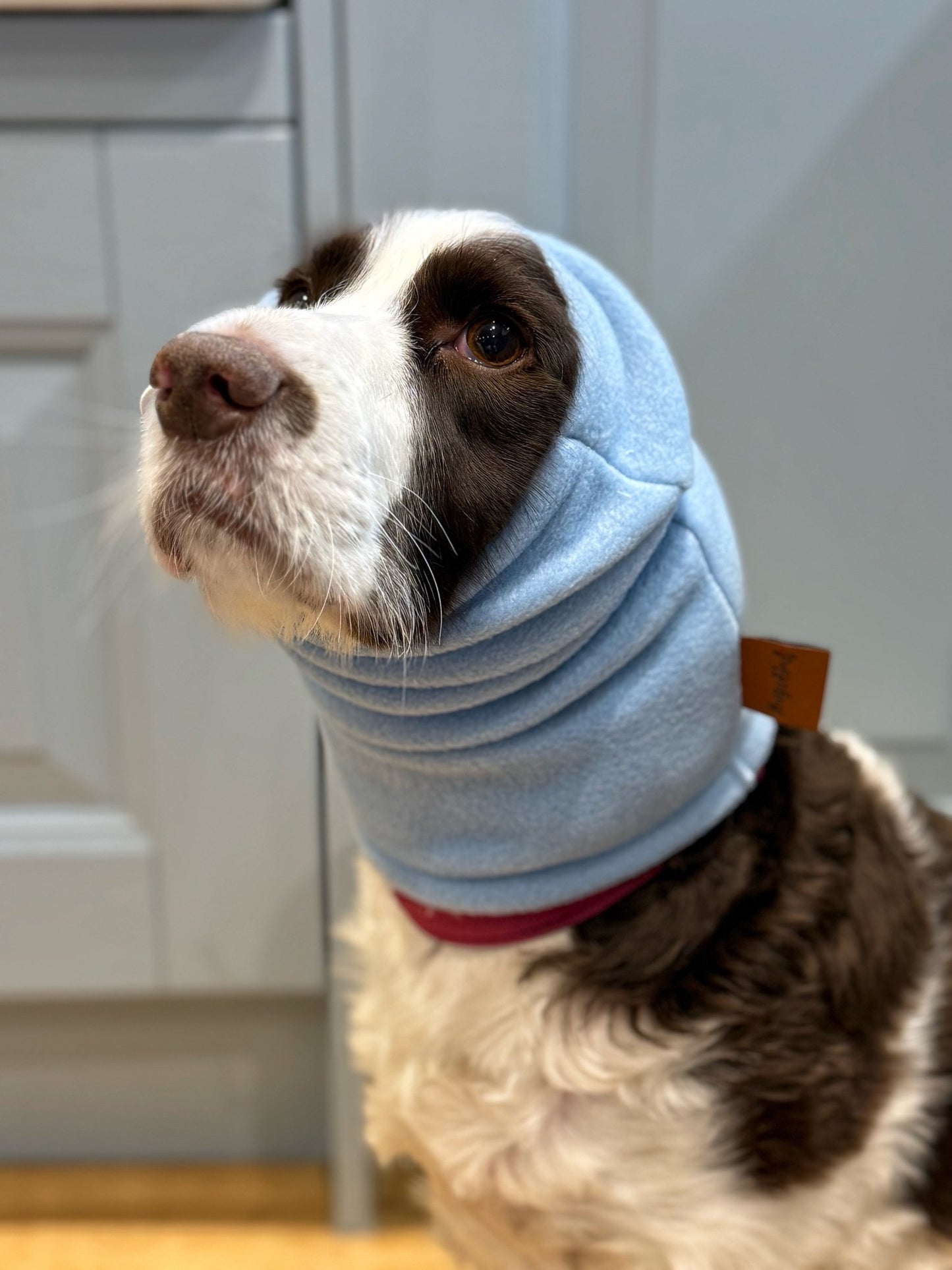 Pastel Collection Fleece Dog Snood - Hugo and Ted